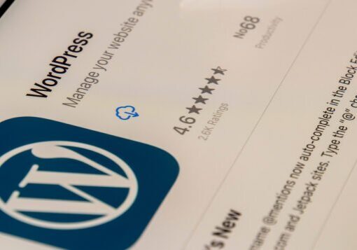 WordPress support services